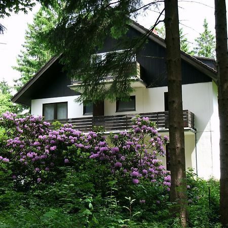 ホテル Haus Hirschmann ゴスラー エクステリア 写真