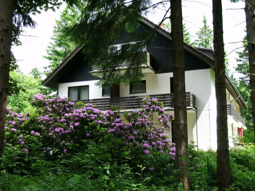 ホテル Haus Hirschmann ゴスラー エクステリア 写真