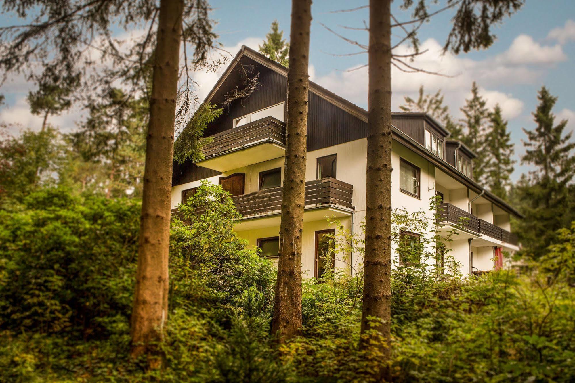 ホテル Haus Hirschmann ゴスラー エクステリア 写真